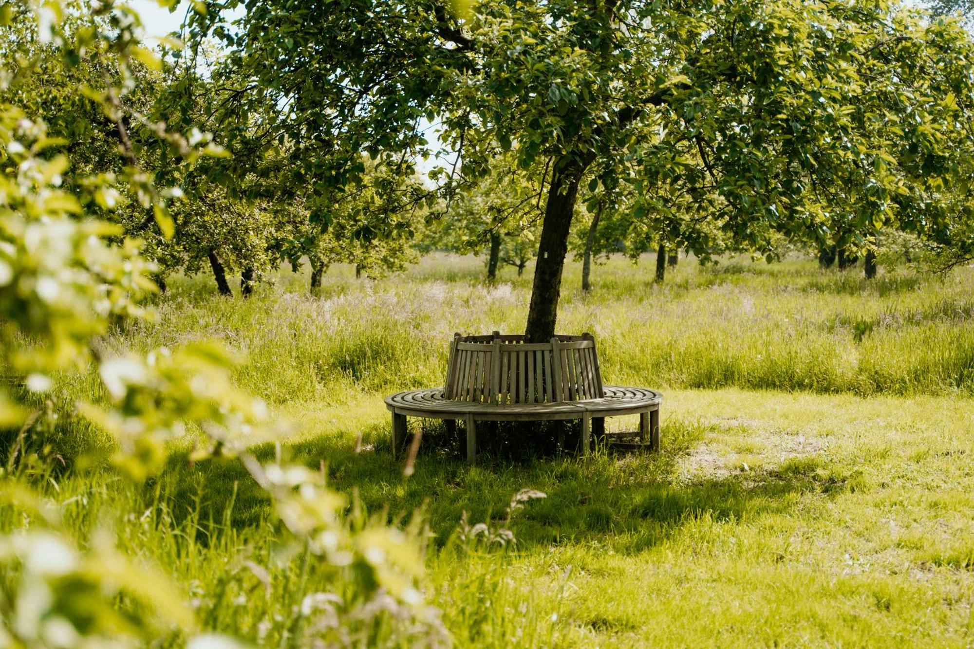 Cottage Landgoed Frymerson Sint Odiliënberg Εξωτερικό φωτογραφία